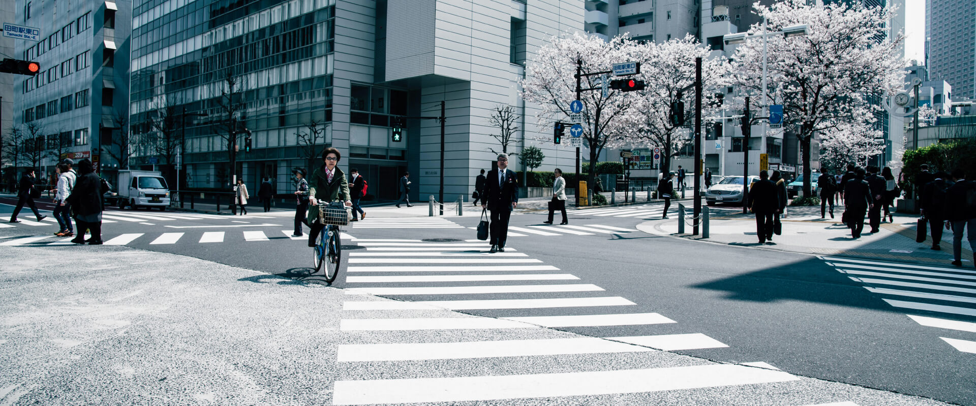 Bonus8 Cashback Bonus